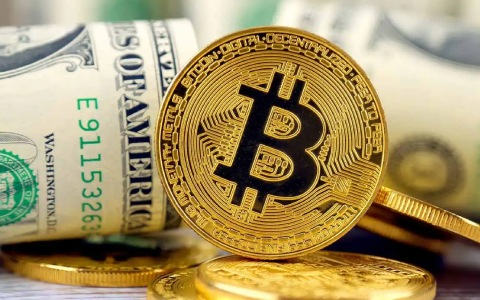 特朗普面临240万美元资金流失，市场看跌情绪加剧或引发进一步下行