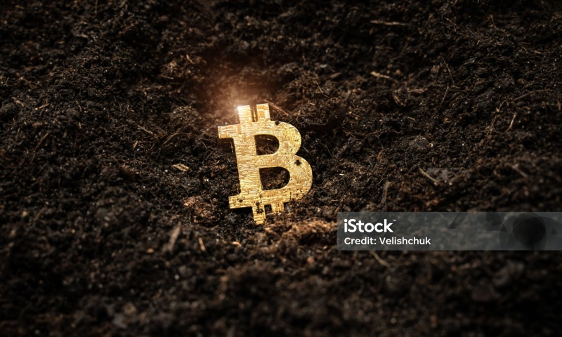 JST币发行量是多少？JST币的发行总量与流通量分析