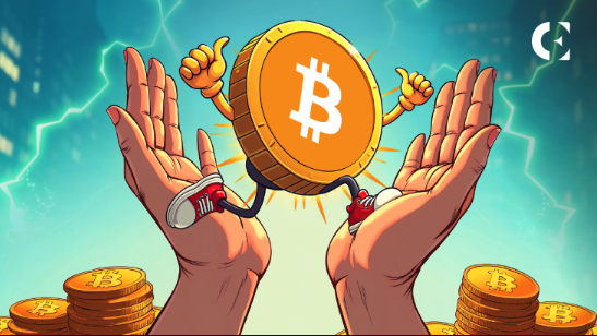 炒币软件排行榜2025 新手炒币最好用的软件前十名汇总