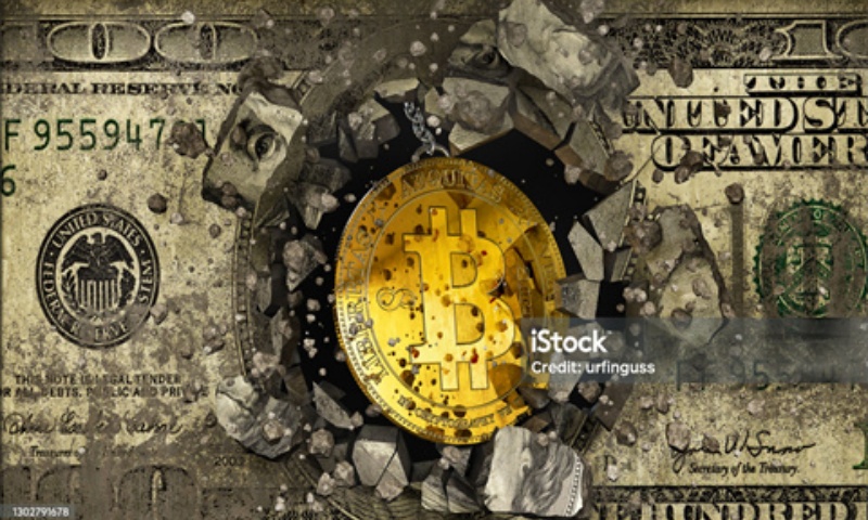 HAM币的发行量是多少？仓鼠币的总量分析
