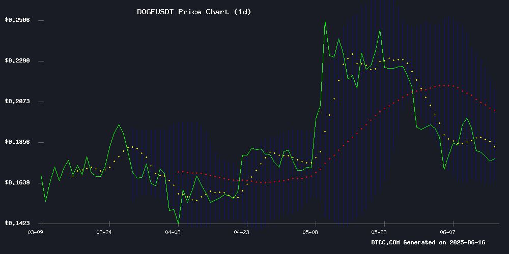 DOGE价格预测：2025-2040年关键支撑与牛市触发点分析